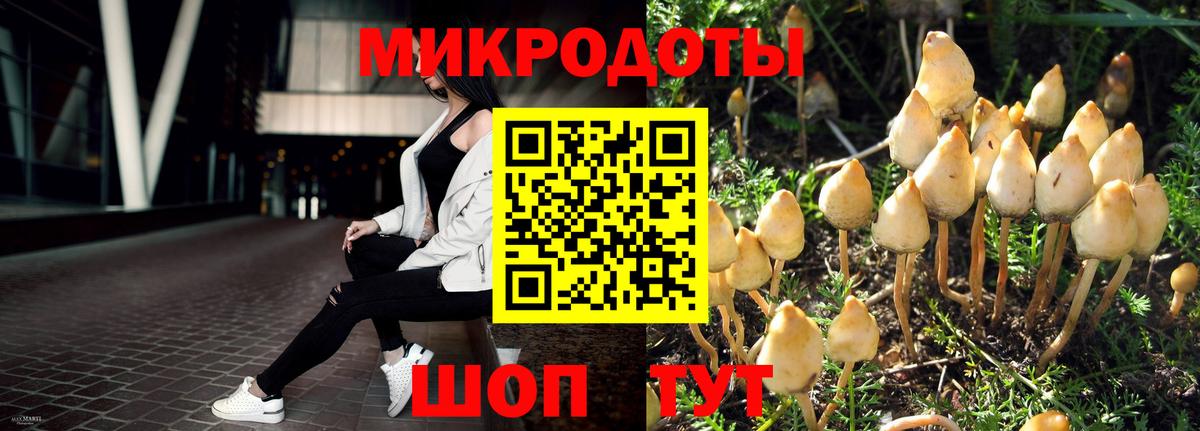 Псилоцибиновые грибы мицелий Краснодар